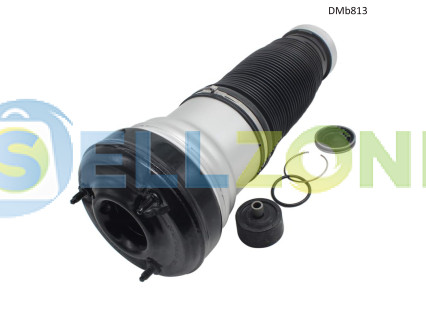 Αερόσακος ανάρτησης για Mercedes S-Class W220 (μπροστινός άξονας) - DMb813